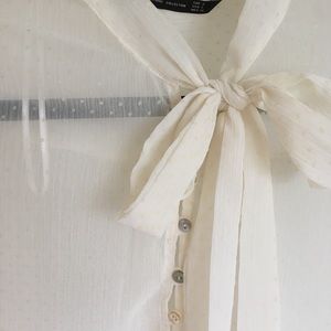Zara sheer blouse
